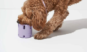 Natural Rubber Bite-Resistant Tennis Cup for Dogs