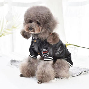 Cotton-Padded Leather Clothes for Small Dogs