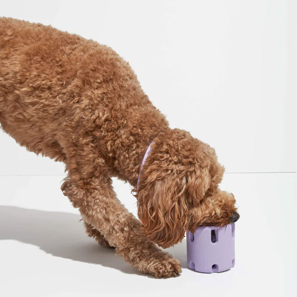 Natural Rubber Bite-Resistant Tennis Cup for Dogs