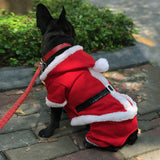 Winter Dog Clothes for Christmas and New Year