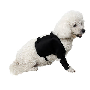 Knee and Leg Guards for Outdoor Pet Arthritis