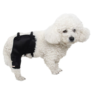 Knee and Leg Guards for Outdoor Pet Arthritis