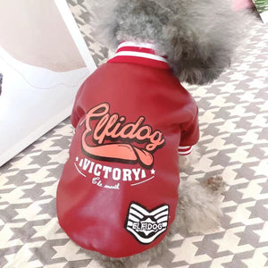 Cotton-Padded Leather Clothes for Small Dogs