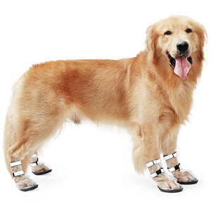 Splash-Proof Waterproof Shoes for Large Dogs
