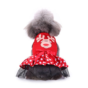 Four-Legged Christmas Clothes for Pets