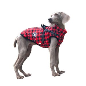 Reflective Belt Pet Clothes for Christmas
