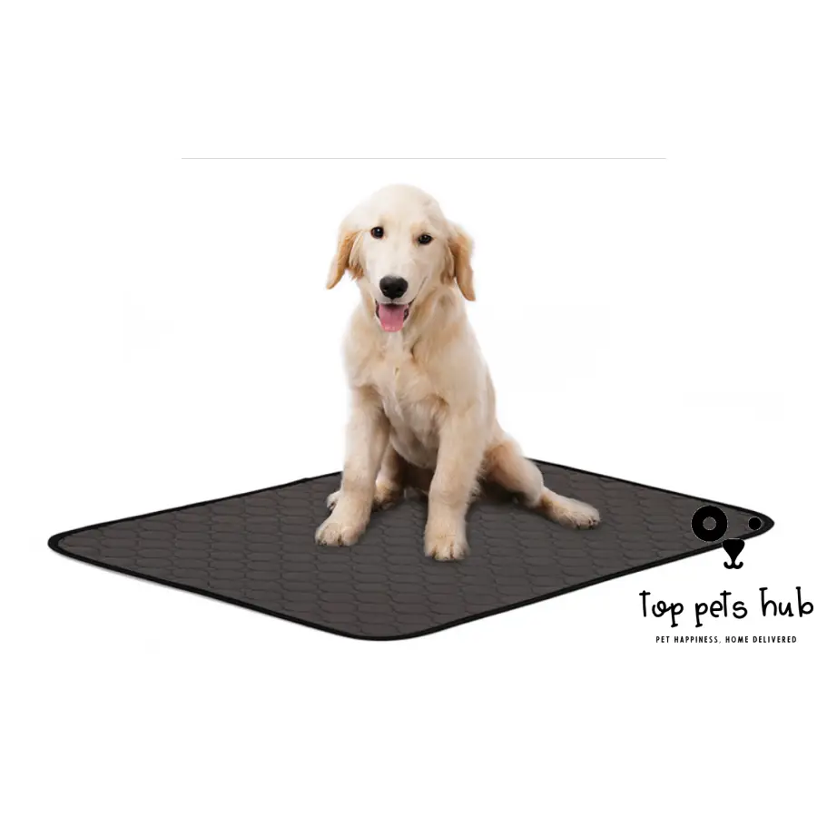 Dog Absorbent Urine Pad