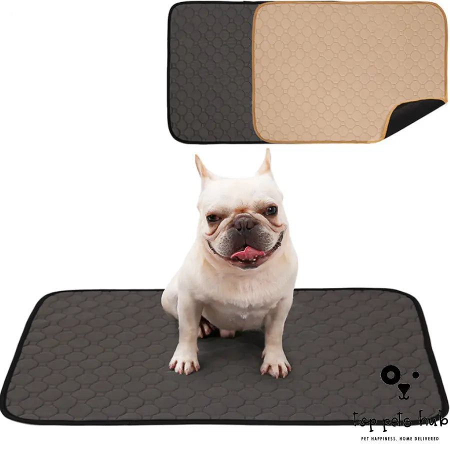 Dog Absorbent Urine Pad