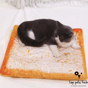 3D Pizza Avocado Toast Pet Blanket