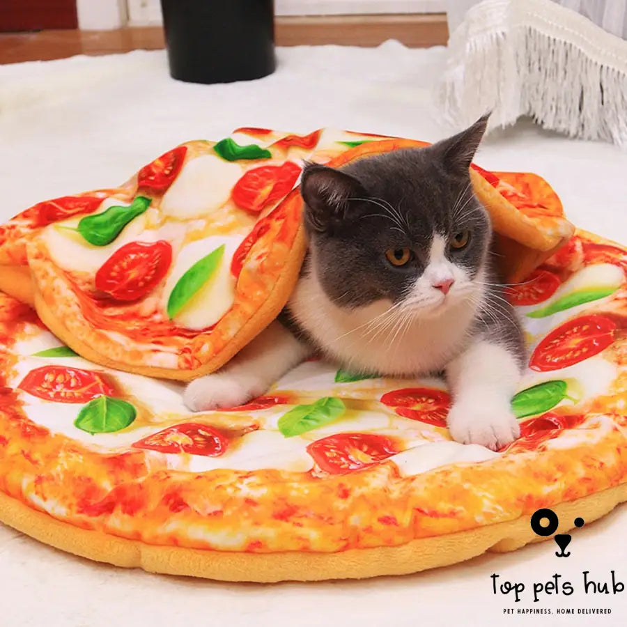 3D Pizza Avocado Toast Pet Blanket