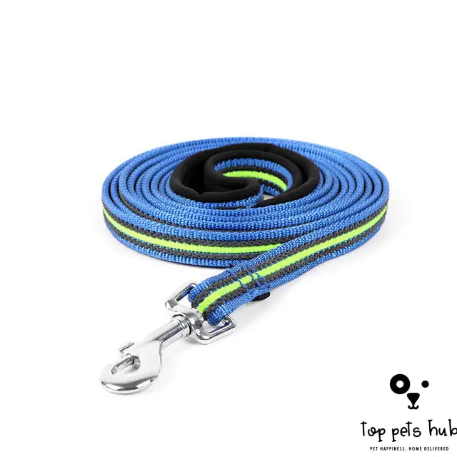 Dog Chain Leash Accessories