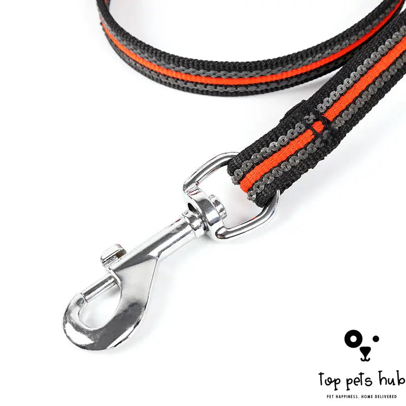 Dog Chain Leash Accessories