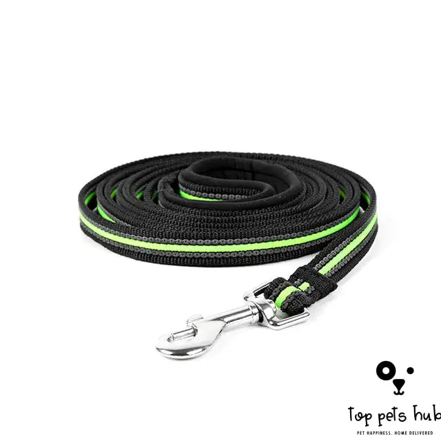 Dog Chain Leash Accessories