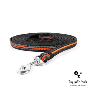 Dog Chain Leash Accessories