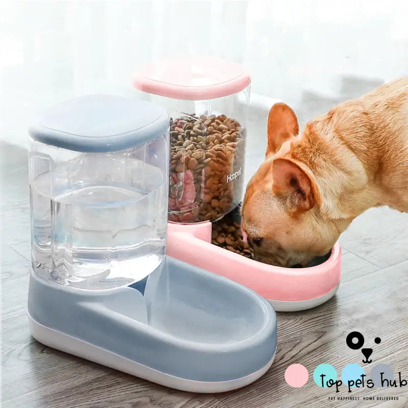 Pet Water Dispenser