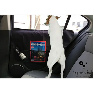 Car Pet Mat