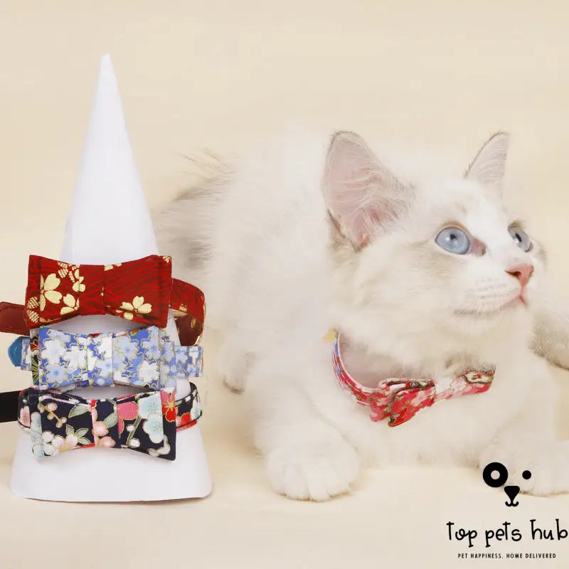 Adorable Three-dimensional Bow Cat Accessories