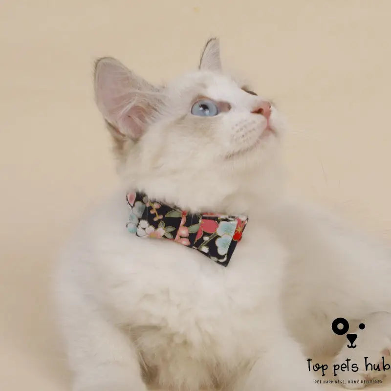 Adorable Three-dimensional Bow Cat Accessories