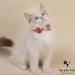 Adorable Three-dimensional Bow Cat Accessories