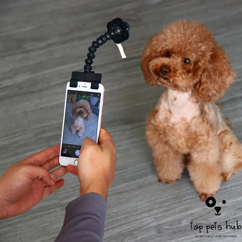 PawsieSnap Pet Selfie Stick