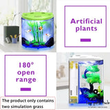 Acrylic Fish Tank