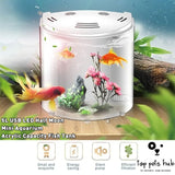 Acrylic Fish Tank