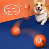 Durable Rubber Ball Dog Chew Toy