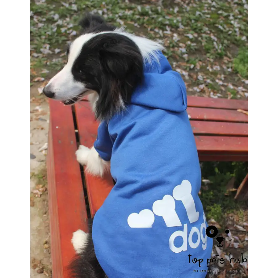 Adidog Dog Clothes