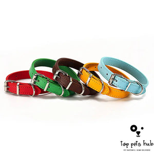 Adjustable Pet Collar