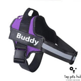 Reflective Breathable Pet Strap Vest