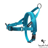 Adjustable Dog Harness Leash Set