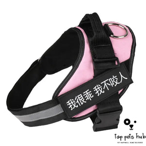 Pet Chest Harness with Traction Rope