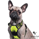 Adjustable Pet Chest Strap