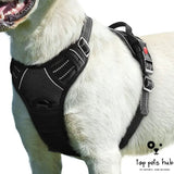 Adjustable Pet Chest Strap