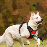 Adjustable Pet Chest Strap