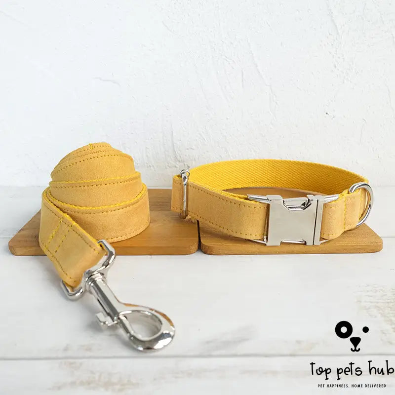 Adjustable Dog Collar