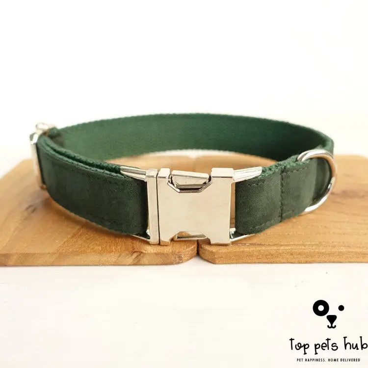 Adjustable Dog Collar