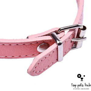 Adjustable Headband Pet Collar