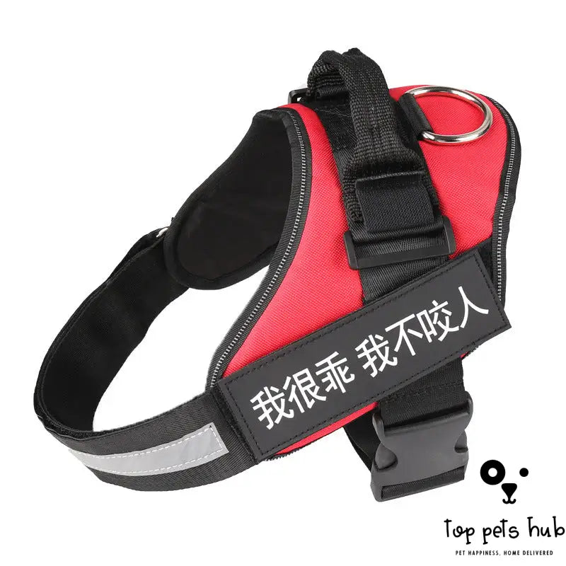 Adjustable Dog Harness