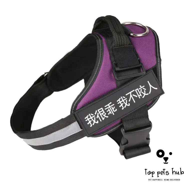 Adjustable Dog Harness