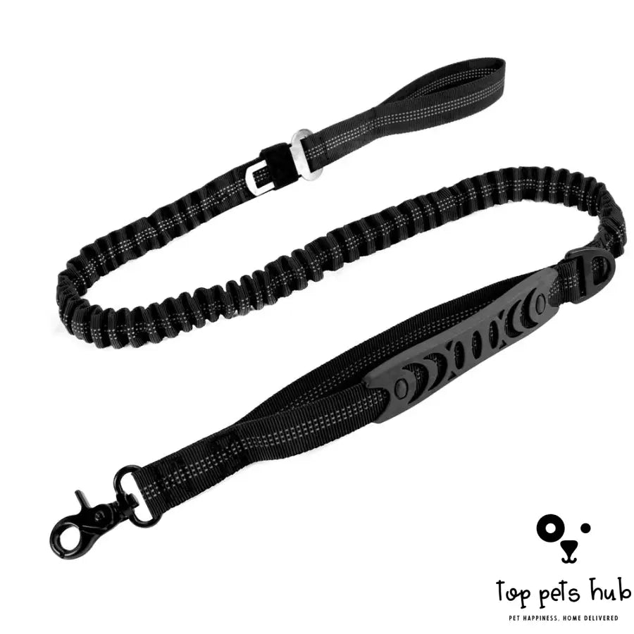 Multi-Functional Dog Leash