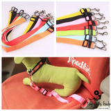 Adjustable Dog Car Safety Belt