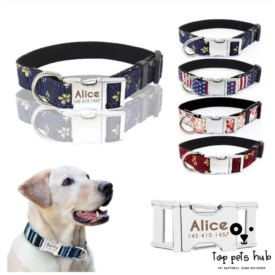 Adjustable Metal Buckle Fabric Collar for Small