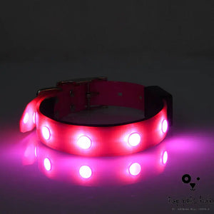 Adjustable Luminous Waterproof Collar for Cats and Dogs