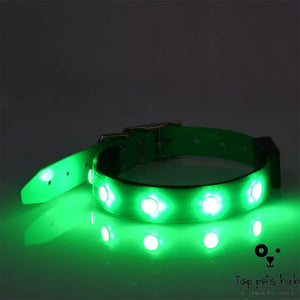 Adjustable Luminous Waterproof Collar for Cats and Dogs