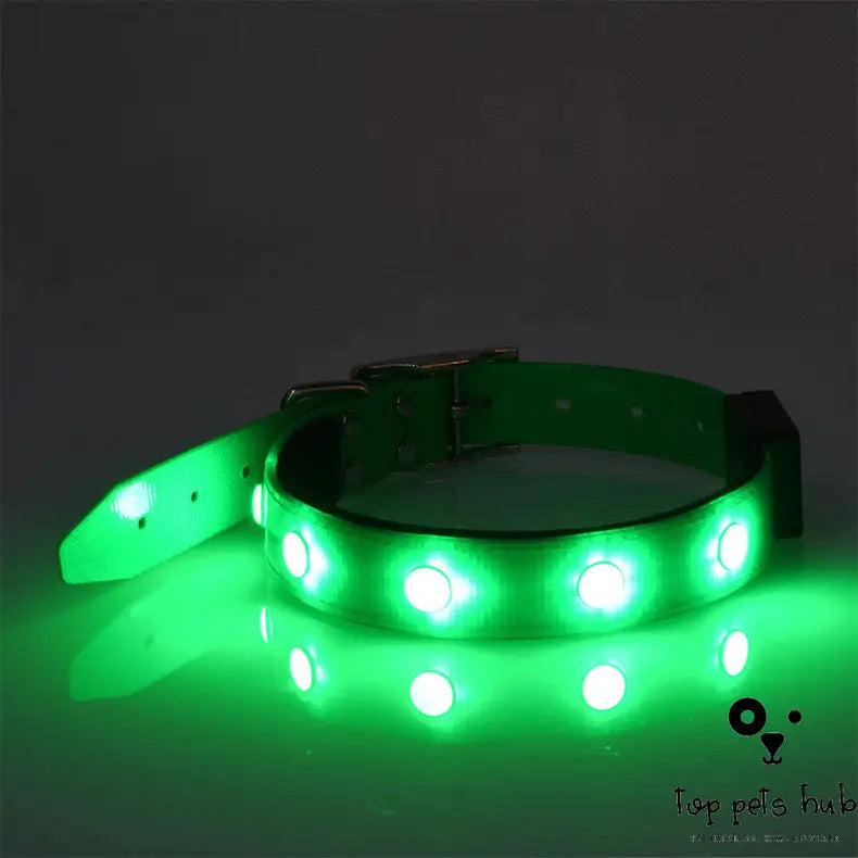 Adjustable Luminous Waterproof Collar for Cats and Dogs