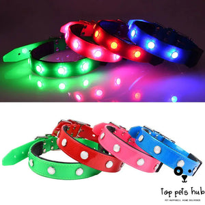 Adjustable Luminous Waterproof Collar for Cats and Dogs