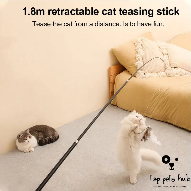 Extendable Cat-teasing Stick