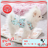 Angel Wings Puppy Dress Set with Harness and Leash