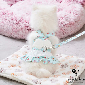 Angel Wings Puppy Dress Set with Harness and Leash